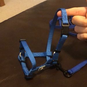 TopPaw Blue Cat Harness and Leash